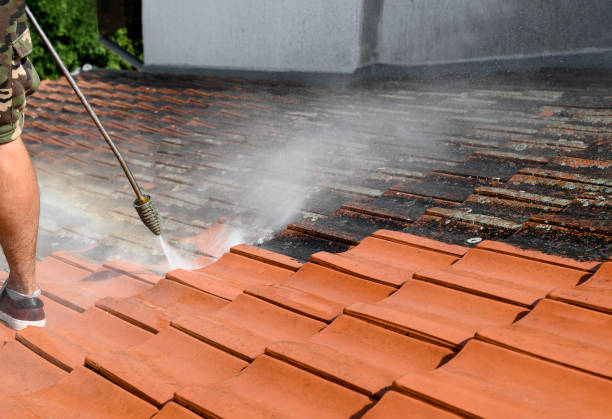 Best Pressure Washing Company Near Me  in Warrior, AL