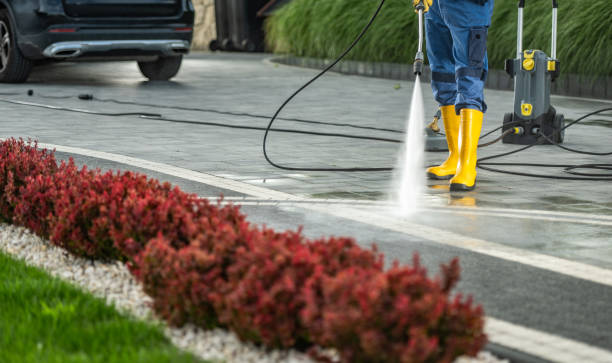 Best Local Pressure Washing Services  in Warrior, AL