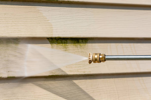 Professional Pressure Washing in Warrior, AL
